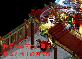 传奇私服药品仓库是什么?新手必看攻略 传奇私服药品仓库是什么?新手必看攻略