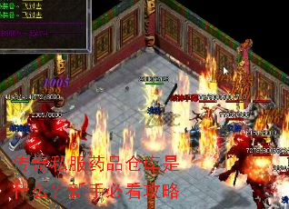 传奇私服药品仓库是什么?新手必看攻略 传奇私服药品仓库是什么?新手必看攻略