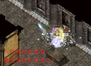 1.95神龙合击有哪些高效打怪技巧? 1.95神龙合击有哪些高效打怪技巧?