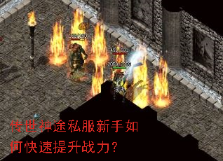 ������;˽��������ο�������ս����