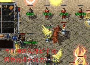 ������;˽��������ο�������ս����