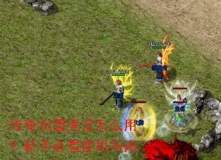 传奇桃园凭证怎么用?新手必看使用指南 传奇桃园凭证怎么用?新手必看使用指南