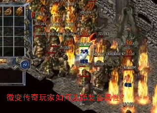 ΢�䴫��������ѡ��װ�����ԣ�