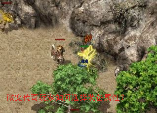 ΢�䴫��������ѡ��װ�����ԣ�