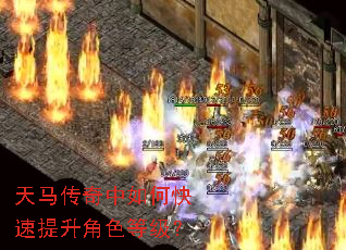 ������������ο���������ɫ�ȼ���