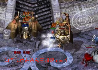 ��γɹ���ɱ��������boss��