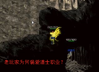 �����Ϊ��ƫ����ʿְҵ��