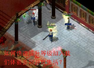 ��ο��������ȼ�����������������Ϸ���