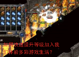 ��ο��������ȼ�����������������Ϸ���