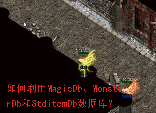 �������MagicDb��MonsterDb��StditemDb���ݿ⣿