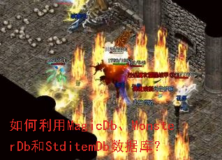 �������MagicDb��MonsterDb��StditemDb���ݿ⣿