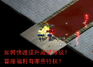 ��ο������������ȼ����׷���������Щ��Ȩ��