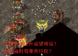 ��ο������������ȼ����׷���������Щ��Ȩ��