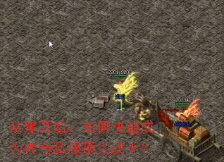 ���㿪ʼ����ο��ٳ�Ϊ����˽������սʿ��