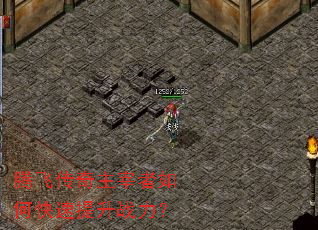 �ڷɴ�����������ο�������ս����