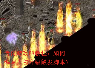 ������ϷGM�̳̣���α�д�������������ű���