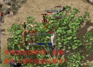 ������ϷGM�̳̣���α�д�������������ű���