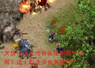 ���������ڴ���˽����������Σ���ʿְҵ�ʺ������