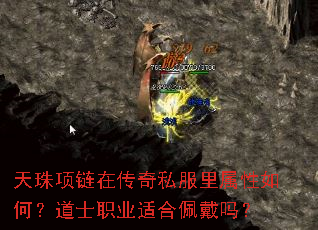 ���������ڴ���˽����������Σ���ʿְҵ�ʺ������