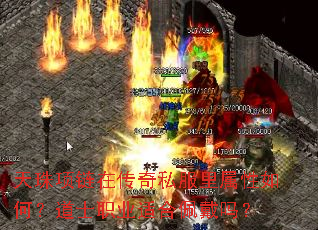 ���������ڴ���˽����������Σ���ʿְҵ�ʺ������