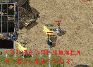 ���������ڴ���˽����������Σ���ʿְҵ�ʺ������