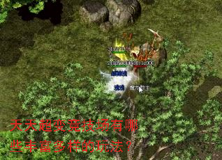 天天超变竞技场有哪些丰富多样的玩法? 天天超变竞技场有哪些丰富多样的玩法?