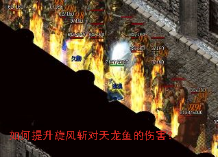 如何提升旋风斩对天龙鱼的伤害? 如何提升旋风斩对天龙鱼的伤害?