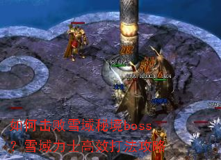 ��λ���ѩ���ؾ�boss��ѩ����ʿ��Ч�򷨹���