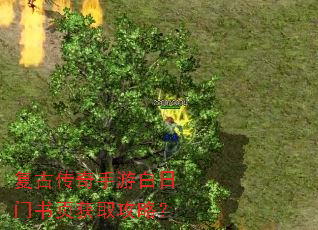 ���Ŵ������ΰ�������ҳ��ȡ���ԣ�