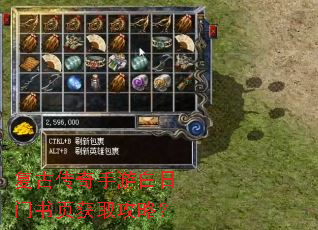 ���Ŵ������ΰ�������ҳ��ȡ���ԣ�