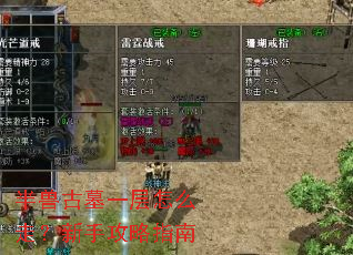 ���޹�Ĺһ����ô�ߣ����ֹ���ָ��