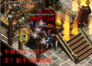 ���޹�Ĺһ����ô�ߣ����ֹ���ָ��