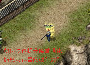 如何快速提升隆重强化骷髅与神兽的战斗力? 如何快速提升隆重强化骷髅与神兽的战斗力?