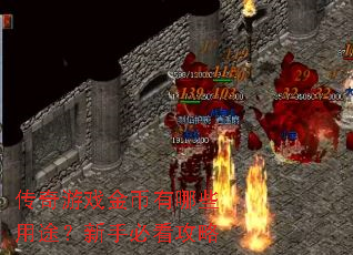 ������Ϸ�������Щ��;�����ֱؿ�����