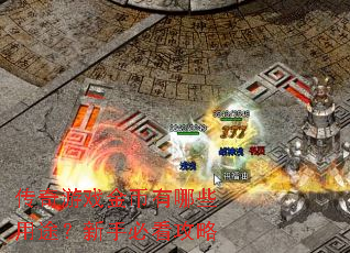 ������Ϸ�������Щ��;�����ֱؿ�����