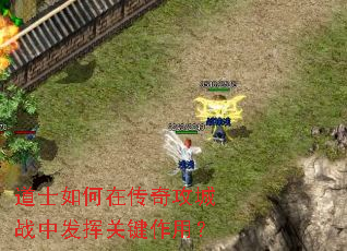 道士如何在传奇攻城战中发挥关键作用? 道士如何在传奇攻城战中发挥关键作用?