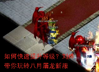 ��ο��������ȼ������Ǵ�����ת���������·�