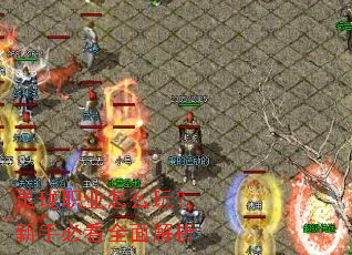 灵珑职业怎么玩?新手必看全面解析 灵珑职业怎么玩?新手必看全面解析