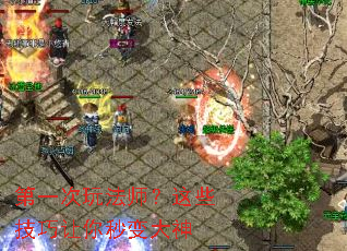 ��һ���淨ʦ����Щ��������������