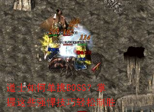 ��ʿ��ε���BOSS��������Щǿ������������ʤ