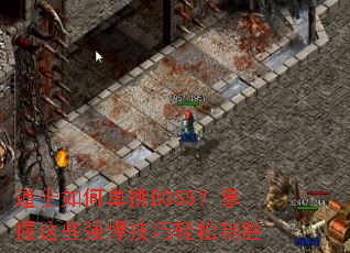 ��ʿ��ε���BOSS��������Щǿ������������ʤ