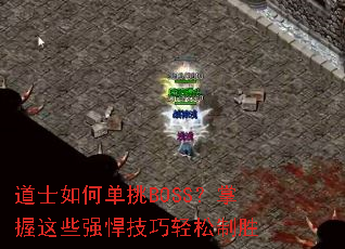 ��ʿ��ε���BOSS��������Щǿ������������ʤ