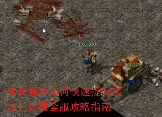 ����������ο�������ʵ�����ư�ȫ������ָ��