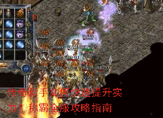 ����������ο�������ʵ�����ư�ȫ������ָ��