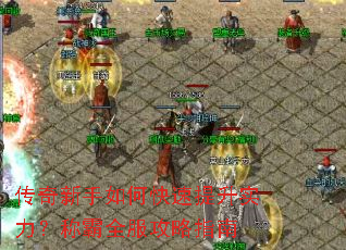 ����������ο�������ʵ�����ư�ȫ������ָ��