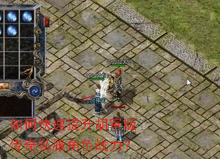 ��ο������������洫��˽����ɫս����