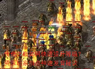 ����֮����ο��������ȼ����������ָ�����ٷ����ؾ�