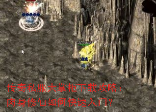 ����˽�����ƹ����ع��ԣ�����������ο������ţ�