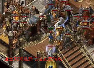 ��ʿ���ѡ����ѷ�չ·�ߣ�