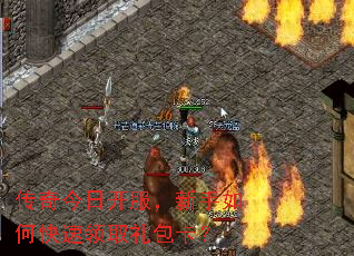 ������տ�����������ο�����ȡ�������